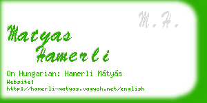 matyas hamerli business card